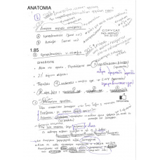 ANATOMIA